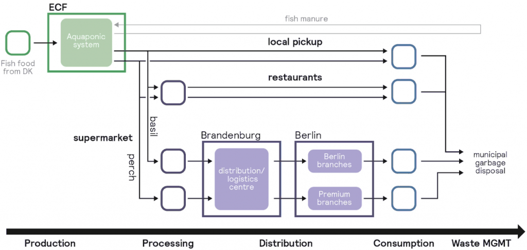 Moving left to right, a linear model of colourful boxes illustrates how fish from the aquaponic system move through the stages of processing, distribution, and consumption to become waste.