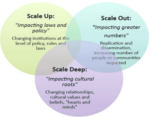 A Ven diagram made up of three circles describes Scale up, Scale out, and Scale deep.
